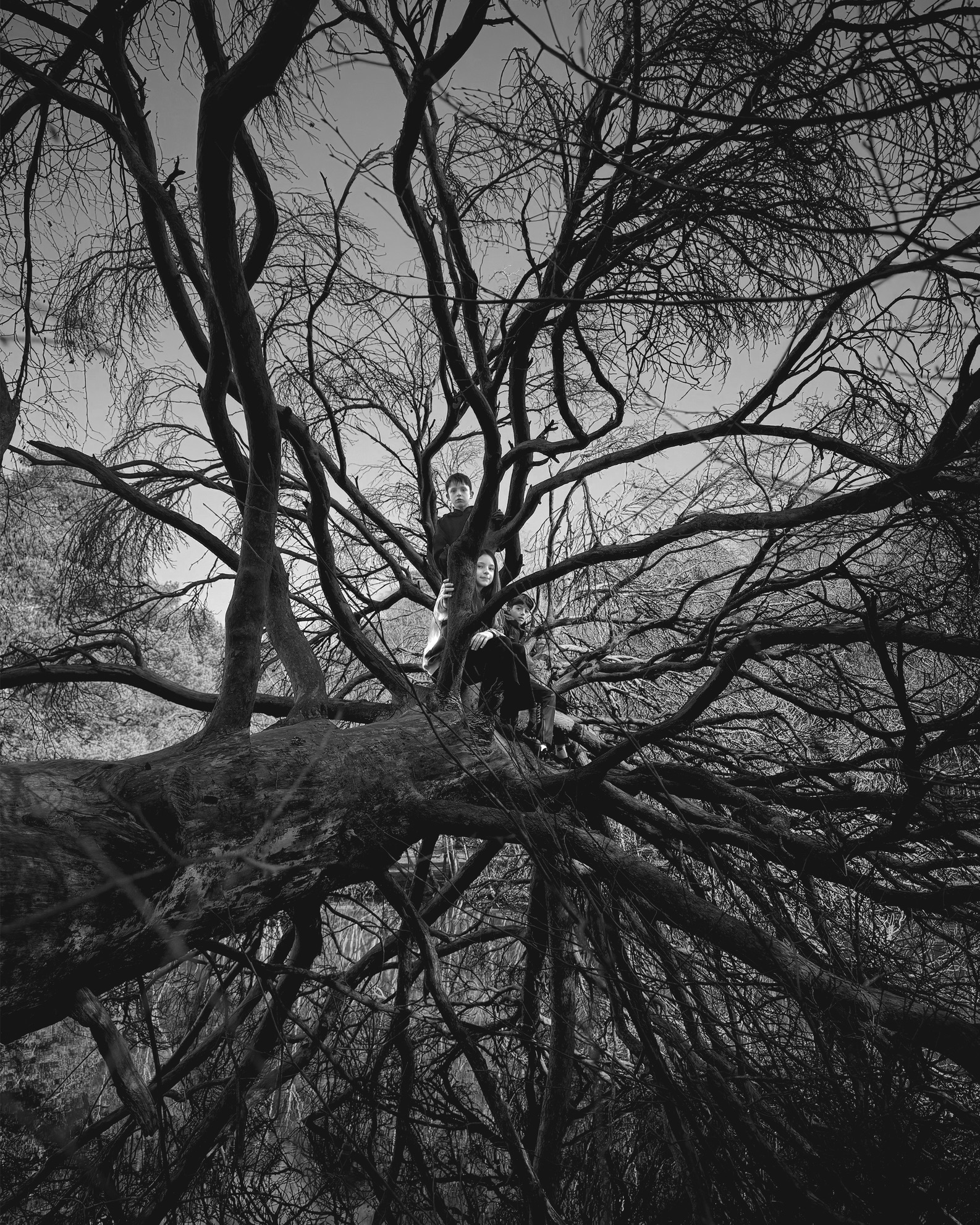 © Rob Hayman Photography Sandhurst - UK